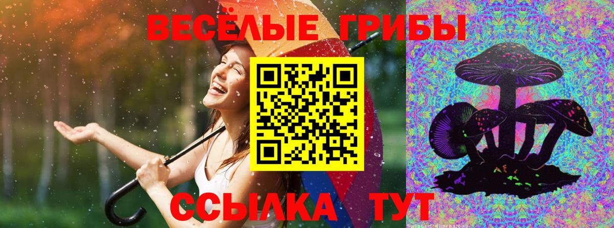 Галлюциногенные грибы MAGIC MUSHROOMS  Галлюциногенные грибы Cubensis  купить наркоту  Ноябрьск  Вход с VPN 