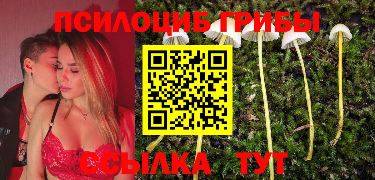 Галлюциногенные грибы мицелий Ноябрьск