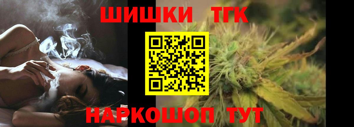 Конопля сатива Ноябрьск